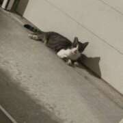 水琴（ミコト） 9/28 アロマ新横浜