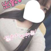 ヒメ日記 2025/11/24 13:26 投稿 ましろ 藤沢人妻城