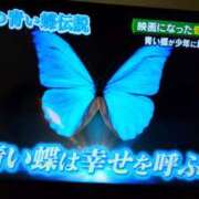 ヒメ日記 2025/01/02 16:51 投稿 まつり★ レースクィーン