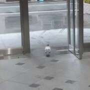 ヒメ日記 2025/02/03 08:00 投稿 まつり★ レースクィーン