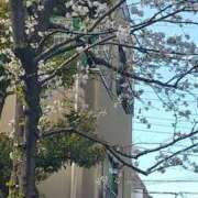 ヒメ日記 2025/04/04 16:58 投稿 まつり★ レースクィーン