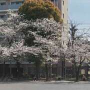 ヒメ日記 2025/04/05 14:42 投稿 まつり★ レースクィーン