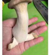 ヒメ日記 2025/05/01 22:38 投稿 まつり★ レースクィーン