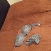 ヒメ日記 2025/05/15 08:00 投稿 まつり★ レースクィーン