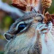 ヒメ日記 2025/06/21 15:36 投稿 まつり★ レースクィーン