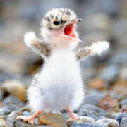 ヒメ日記 2025/07/06 21:02 投稿 まつり★ レースクィーン