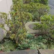 ヒメ日記 2025/09/08 20:03 投稿 まつり★ レースクィーン