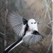 ヒメ日記 2025/09/11 08:51 投稿 まつり★ レースクィーン