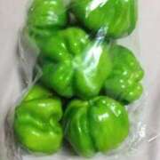 ヒメ日記 2025/09/12 16:24 投稿 まつり★ レースクィーン