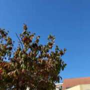 ヒメ日記 2025/10/18 12:29 投稿 まつり★ レースクィーン