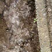 ヒメ日記 2025/12/28 15:18 投稿 まつり★ レースクィーン