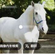 ヒメ日記 2026/01/06 12:01 投稿 まつり★ レースクィーン