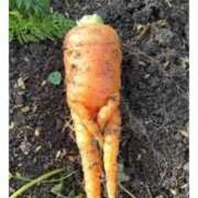 ヒメ日記 2026/03/11 08:00 投稿 まつり★ レースクィーン