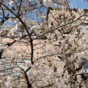 ヒメ日記 2026/03/29 12:00 投稿 まつり★ レースクィーン