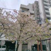 ヒメ日記 2026/04/06 08:00 投稿 まつり★ レースクィーン