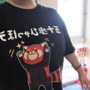 まつり★ Tシャツ レースクィーン