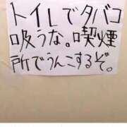 ヒメ日記 2026/04/25 12:00 投稿 まつり★ レースクィーン
