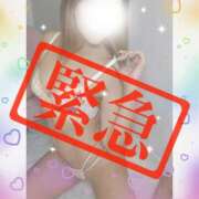 ヒメ日記 2025/06/06 16:14 投稿 ななせ 奥鉄オクテツ兵庫