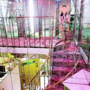 ヒメ日記 2025/02/07 10:01 投稿 エイト コンプレックス(京都)