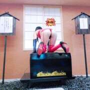 ヒメ日記 2026/04/20 15:34 投稿 エイト コンプレックス(京都)