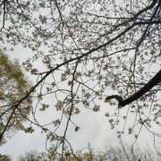 ヒメ日記 2025/03/28 12:31 投稿 りょう 池袋おかあさん