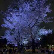 ヒメ日記 2025/04/07 06:30 投稿 あゆな 制服向上委員会