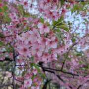 ヒメ日記 2025/03/25 17:47 投稿 あやめ 池袋マリン本店