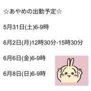 ヒメ日記 2025/05/29 13:06 投稿 あやめ 池袋マリン本店