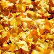 ヒメ日記 2025/11/05 20:51 投稿 伊藤 さな 超LEXUS