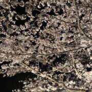 ヒメ日記 2026/04/06 18:21 投稿 伊藤 さな 超LEXUS