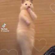 つむぎ 🚼🎄 マリン千姫