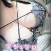 ヒメ日記 2025/02/06 11:27 投稿 おとは ギン妻パラダイス 和歌山店