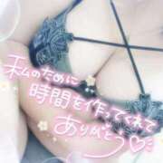 ヒメ日記 2025/02/07 12:24 投稿 おとは ギン妻パラダイス 和歌山店