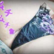 ヒメ日記 2025/02/12 12:15 投稿 おとは ギン妻パラダイス 和歌山店