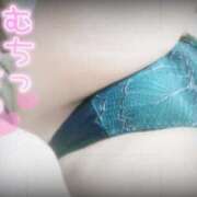 ヒメ日記 2025/03/01 15:39 投稿 おとは ギン妻パラダイス 和歌山店