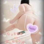 ヒメ日記 2025/03/17 18:55 投稿 おとは ギン妻パラダイス 和歌山店