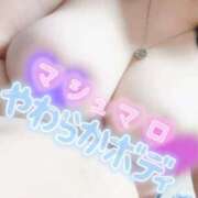 ヒメ日記 2025/03/30 14:52 投稿 おとは ギン妻パラダイス 和歌山店