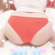 ヒメ日記 2025/04/18 15:21 投稿 おとは ギン妻パラダイス 和歌山店