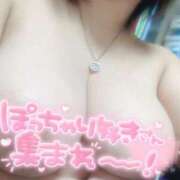 ヒメ日記 2025/04/26 18:51 投稿 おとは ギン妻パラダイス 和歌山店