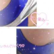 ヒメ日記 2025/04/29 15:02 投稿 おとは ギン妻パラダイス 和歌山店