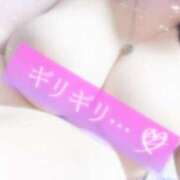 ヒメ日記 2025/05/06 17:07 投稿 おとは ギン妻パラダイス 和歌山店