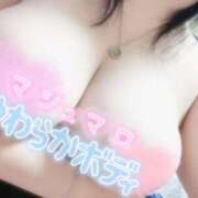 ヒメ日記 2025/05/11 10:07 投稿 おとは ギン妻パラダイス 和歌山店