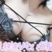 ヒメ日記 2025/08/16 12:02 投稿 おとは ギン妻パラダイス 和歌山店