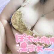 ヒメ日記 2025/08/19 10:00 投稿 おとは ギン妻パラダイス 和歌山店