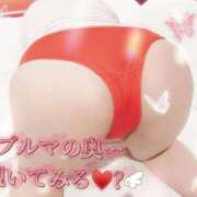 ヒメ日記 2025/08/21 14:34 投稿 おとは ギン妻パラダイス 和歌山店