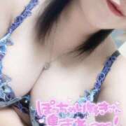 ヒメ日記 2025/08/24 10:01 投稿 おとは ギン妻パラダイス 和歌山店