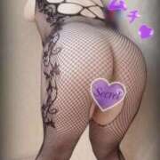 ヒメ日記 2025/10/11 09:15 投稿 おとは ギン妻パラダイス 和歌山店