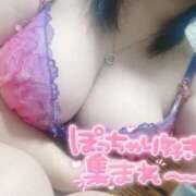 ヒメ日記 2025/10/13 11:24 投稿 おとは ギン妻パラダイス 和歌山店