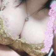 ヒメ日記 2025/10/18 10:17 投稿 おとは ギン妻パラダイス 和歌山店