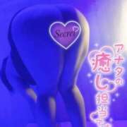 ヒメ日記 2025/10/20 09:15 投稿 おとは ギン妻パラダイス 和歌山店